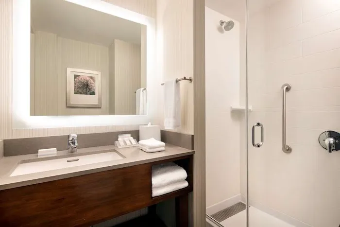 Hilton Garden Inn Long Island City New York 1