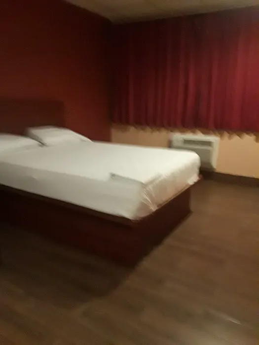 Bushwick Hotel 4