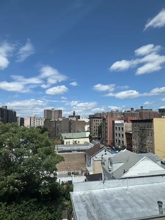 Umbrella Hotel Bronx 4