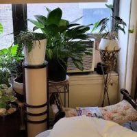 Saint Nicholas Inn B&B ico