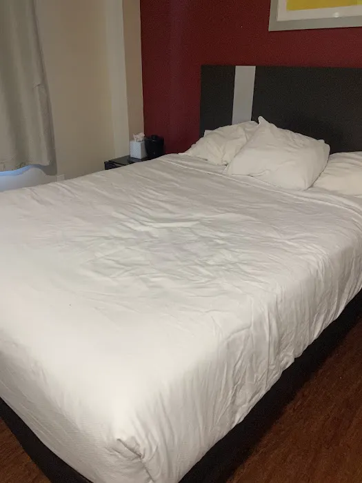 Surface Inn Brooklyn 4