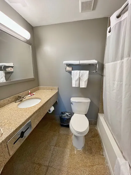 Ozone Inn & Suites 4