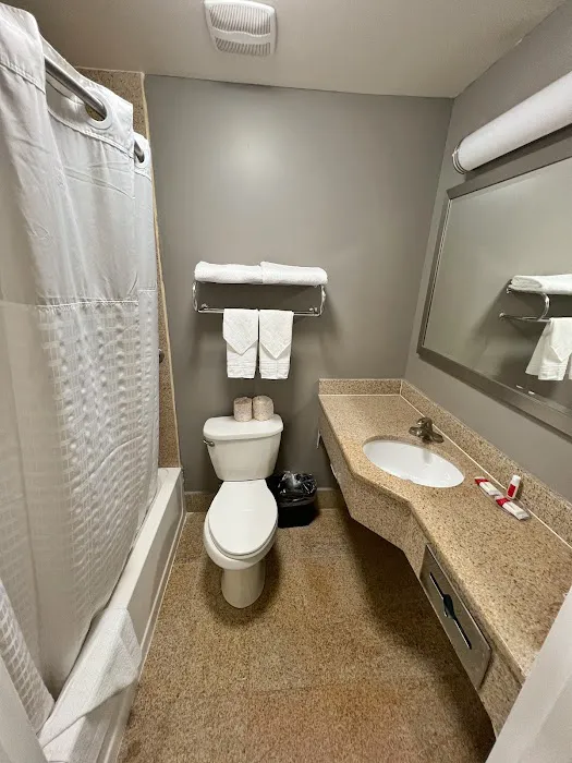 Ozone Inn & Suites 4