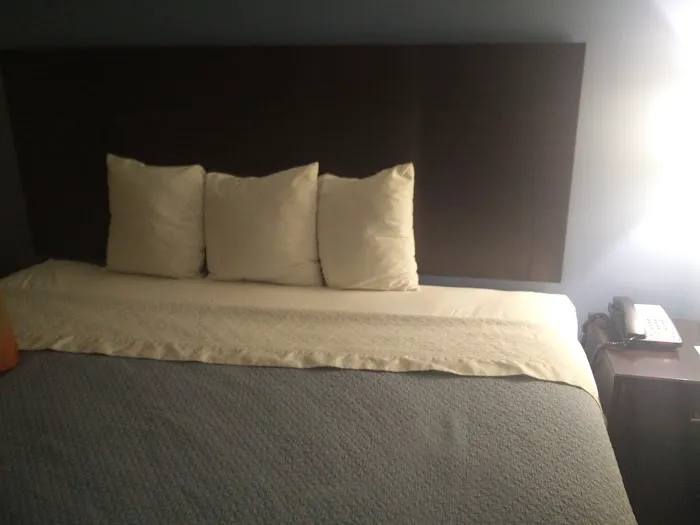 Ozone Inn & Suites 4