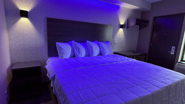 THE VINE HOTEL BRONX 4