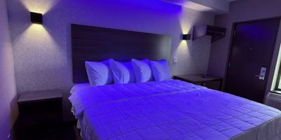 THE VINE HOTEL BRONX