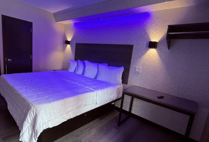 THE VINE HOTEL BRONX 4