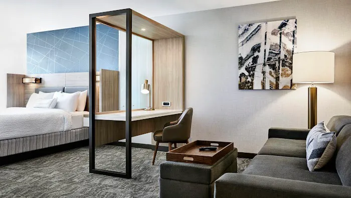 SpringHill Suites New York JFK Airport/Jamaica 4