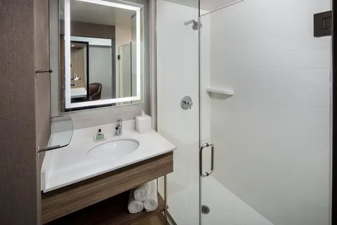 SpringHill Suites New York JFK Airport/Jamaica 4