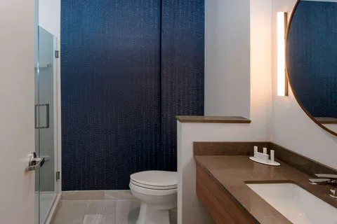 Fairfield Inn & Suites New York Queens/Jamaica 4