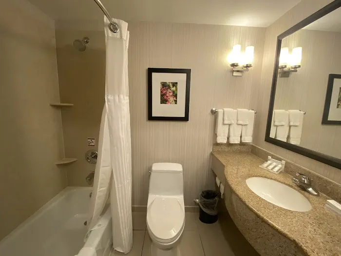 Hilton Garden Inn Queens/JFK Airport 4