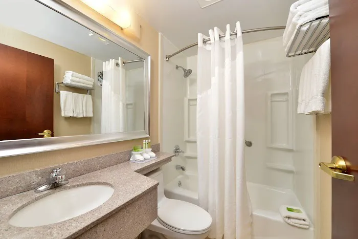 Holiday Inn Express New York Jfk Airport Area, an IHG Hotel 4