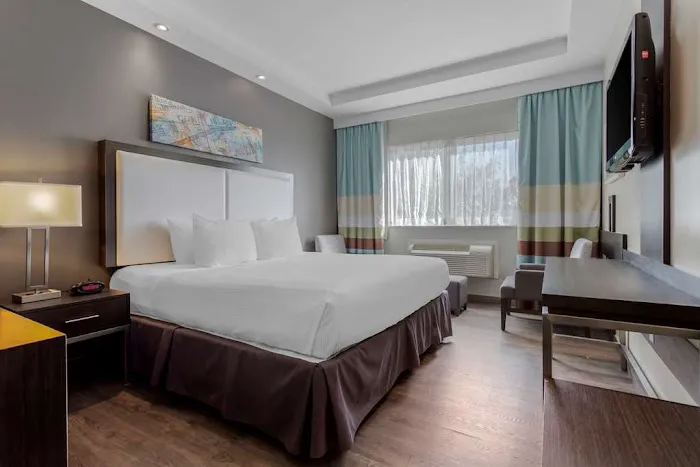 Best Western Plus Brooklyn Bay Hotel 4