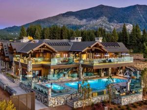 Discover the Best Pet-Friendly Hotels in Denver for You and Your Furry Friend