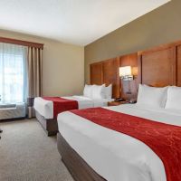 Comfort Suites Newark - Harrison ico