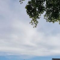 King Mansion ico