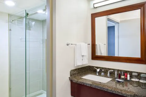 Marriott Park Ridge 4