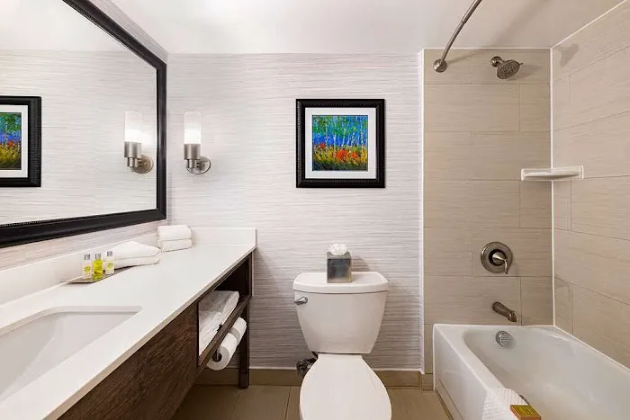 Comfort Suites at Woodbridge 4