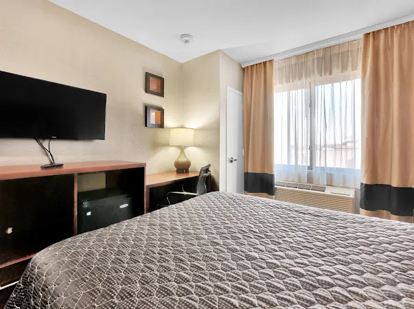Hollis Hotel 4