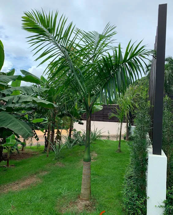 Villa Mandarina Oasis 5