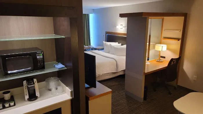 SpringHill Suites Carle Place Garden City 4