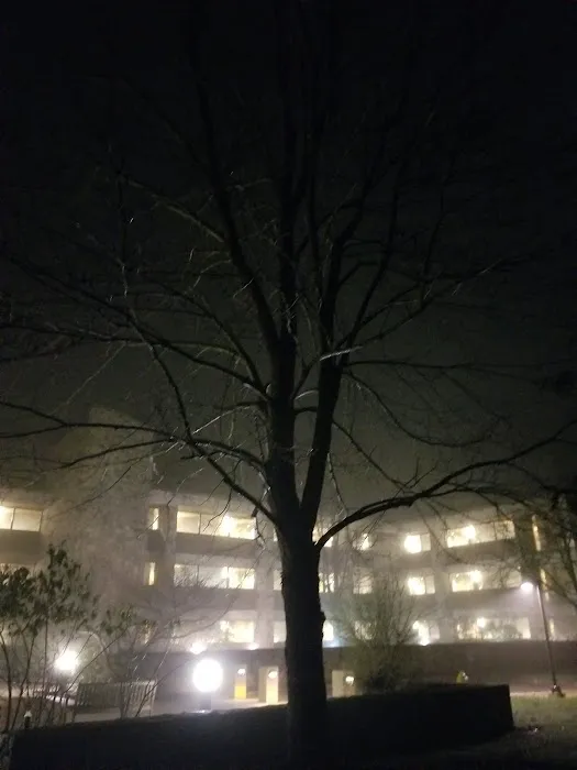 Cedar Hall 4