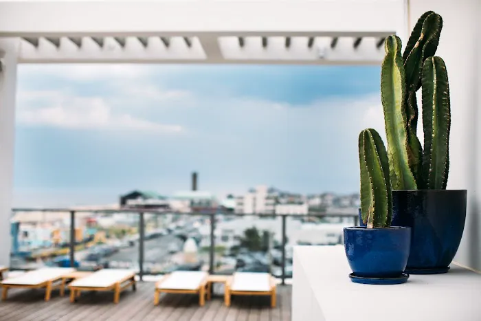 Asbury Ocean Club Hotel 4