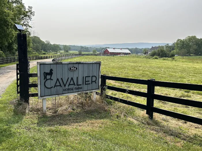 APPALACHIAN ANIMAL EXPERIENCE LLC 5