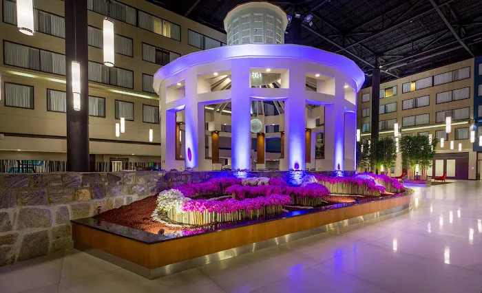 The Armon Stamford Hotel 5