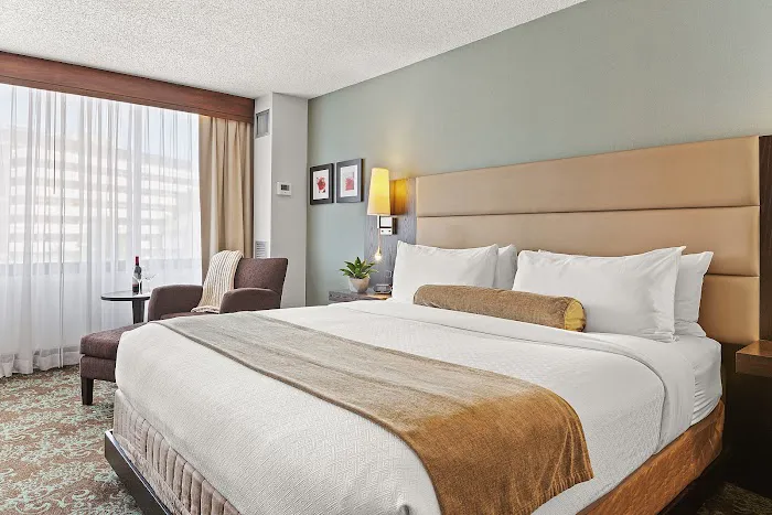 The Armon Stamford Hotel 5