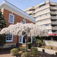 Stamford Suites Hotel ico