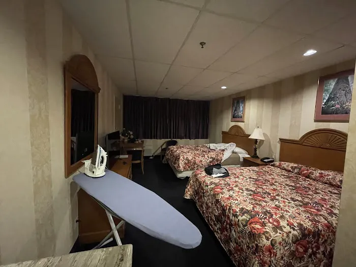 Amsterdam Hotel 5