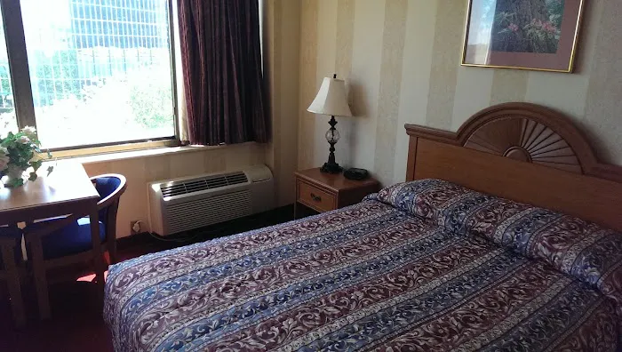 Amsterdam Hotel 5