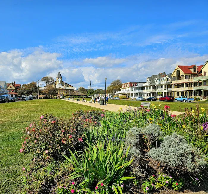 Hotel Albatross 5