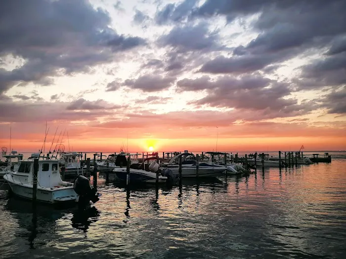 The Palms Hotel Fire Island 4
