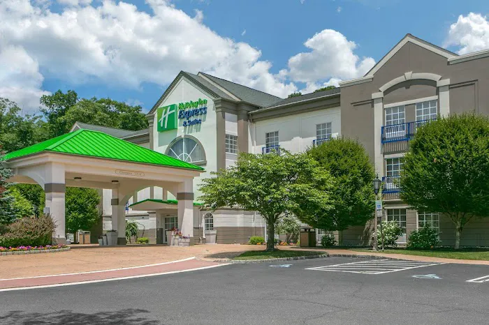 Holiday Inn Express & Suites Mount Arlington-Rockaway Area by IHG 4