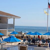 The White Sands Oceanfront Hotel & Spa ico