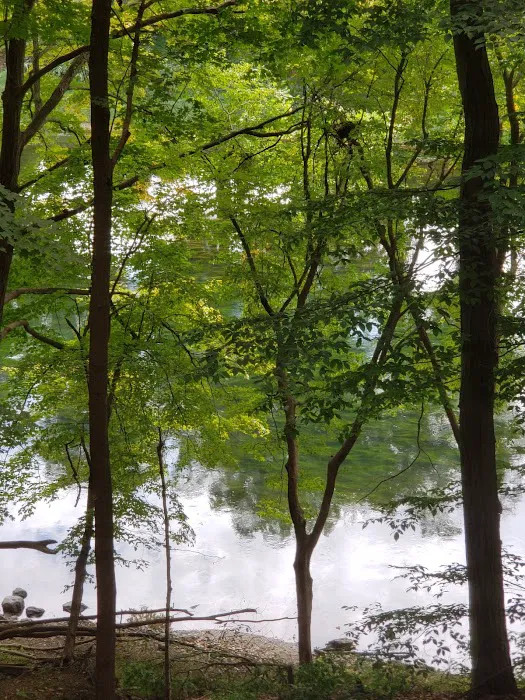 River Village Two 4