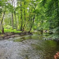 Glenwood Inn & Conference Center ico
