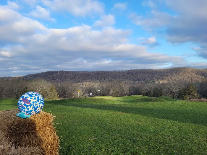 Water Gap Wellness Inn 4