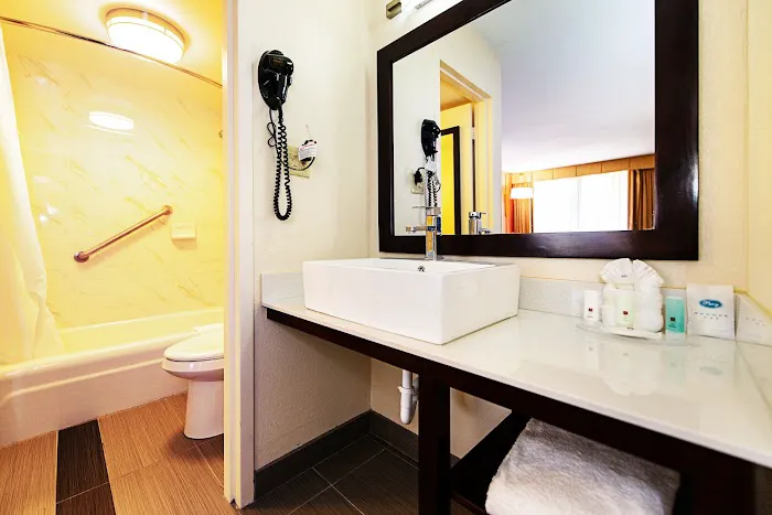 New Hope Inn & Suites 4
