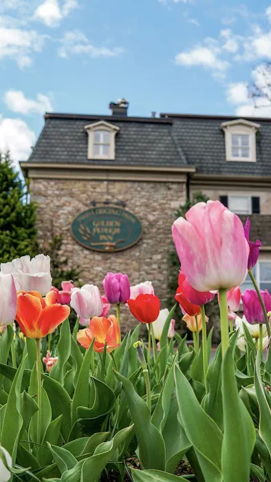 Golden Plough Inn at Peddler's Village 4