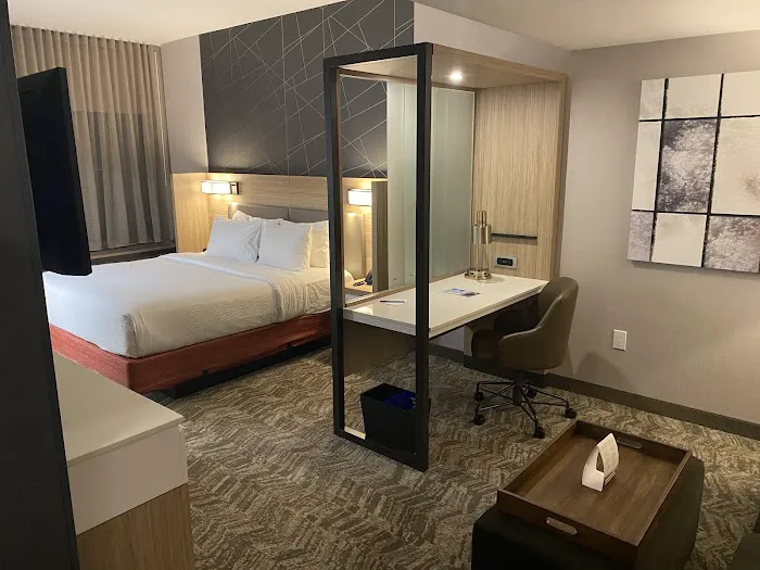 Springhill Suites Easton PA 4