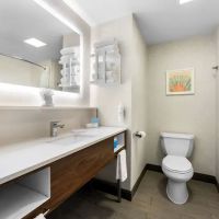 Hampton Inn Stroudsburg/Poconos ico