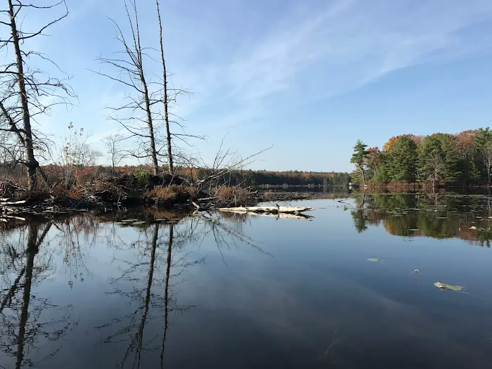 Mohican Lake Resort 4