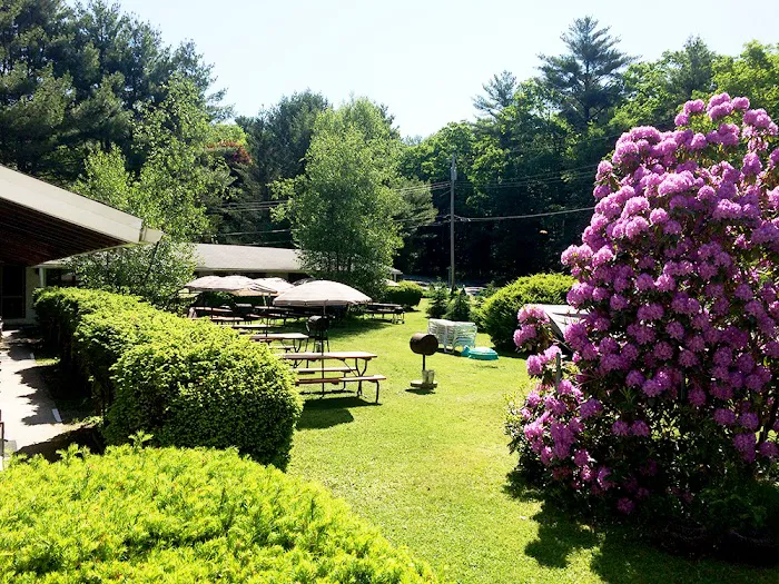Mohican Lake Resort 4
