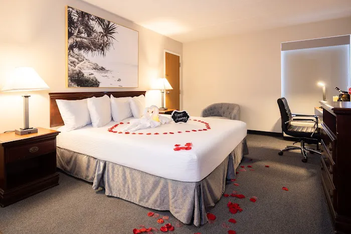 View Inn & Suites 4