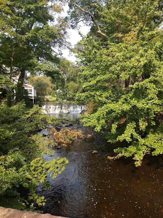 GrayBarns on the Silvermine River 4