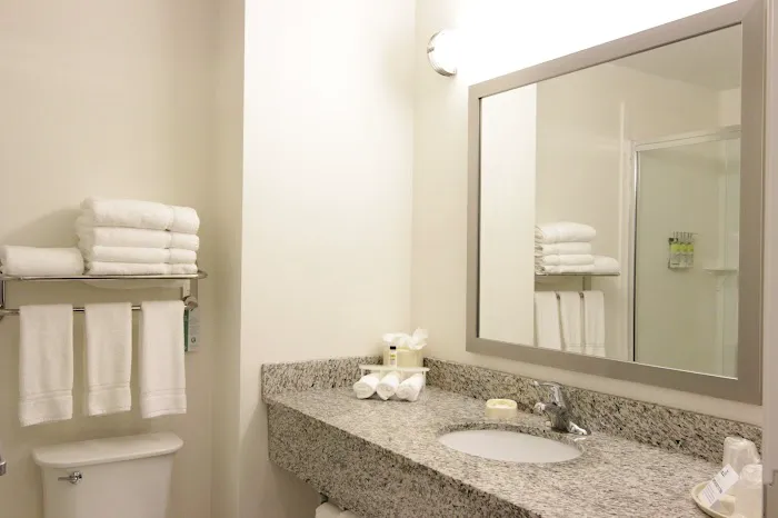Holiday Inn Express & Suites Montgomery by IHG 4