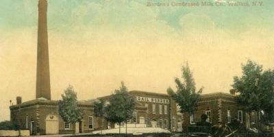 The Milk Factory